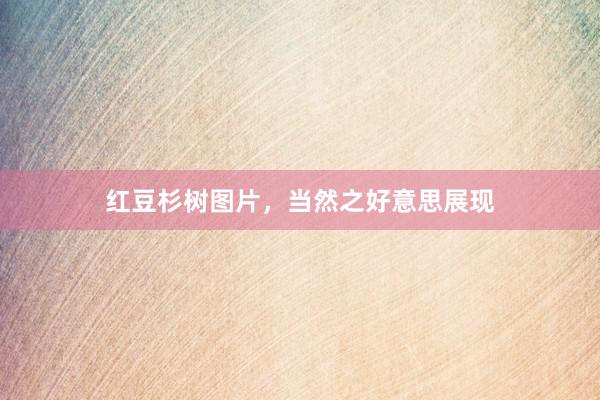 红豆杉树图片，当然之好意思展现