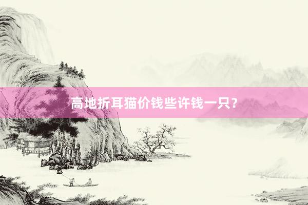 高地折耳猫价钱些许钱一只？