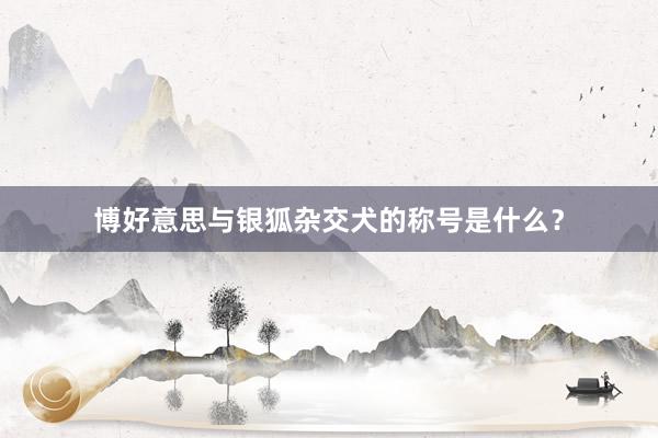 博好意思与银狐杂交犬的称号是什么？